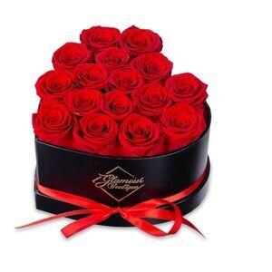 Glamour Boutique IMMORTAL
LOVE BLACK HEART 16  FRESH RED
ROSES/ New in Box